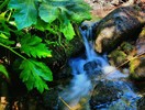 photo thumbnail #8