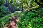 photo thumbnail #10