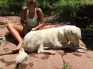 photo thumbnail #13