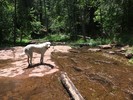 photo thumbnail #12