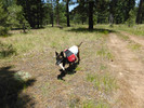 photo thumbnail #3