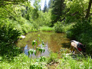 photo thumbnail #8