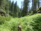 photo thumbnail #12