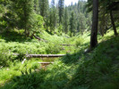 photo thumbnail #13