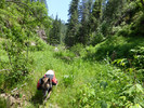 photo thumbnail #14