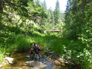 photo thumbnail #15