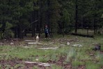 photo thumbnail #1