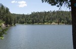photo thumbnail #11