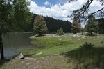 photo thumbnail #14