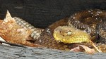 photo thumbnail #3
