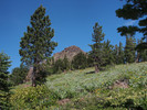 photo thumbnail #6
