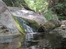 photo thumbnail #12