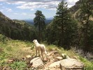 photo thumbnail #7