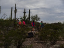 photo thumbnail #4