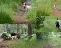 photo thumbnail #9