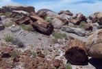 photo thumbnail #3