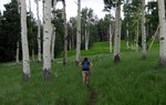 photo thumbnail #3
