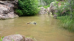 photo thumbnail #3