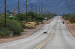 photo thumbnail #1