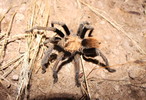 photo thumbnail #5