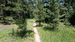 photo thumbnail #7