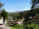 photo thumbnail #4