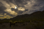 photo thumbnail #3