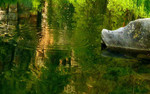 photo thumbnail #15