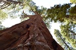 photo thumbnail #15