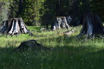 photo thumbnail #13