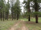 photo thumbnail #10