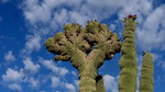 photo thumbnail #4