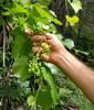 photo thumbnail #3