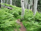 photo thumbnail #11