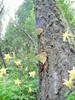 photo thumbnail #5