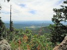 photo thumbnail #7