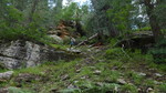 photo thumbnail #13