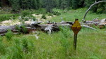 photo thumbnail #14
