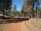 photo thumbnail #5