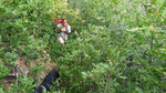 photo thumbnail #12