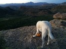 photo thumbnail #2