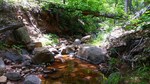 photo thumbnail #9