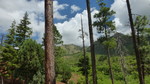 photo thumbnail #5