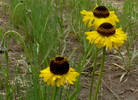 photo thumbnail #10