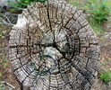 photo thumbnail #11