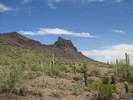 photo thumbnail #1