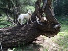 photo thumbnail #1