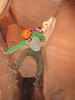 photo thumbnail #11