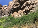photo thumbnail #3