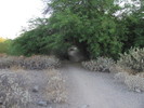 photo thumbnail #2